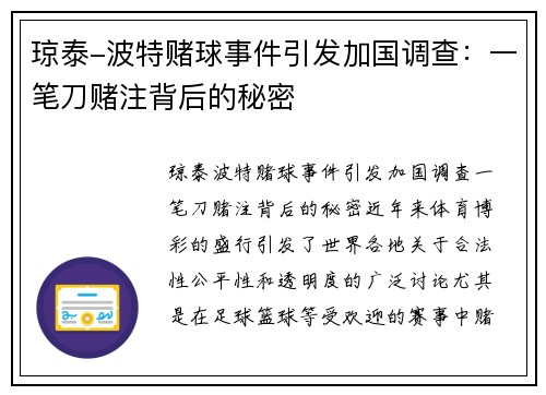 琼泰-波特赌球事件引发加国调查：一笔刀赌注背后的秘密