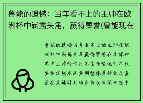 鲁能的遗憾：当年看不上的主帅在欧洲杯中崭露头角，赢得赞誉(鲁能现在的主帅是谁)