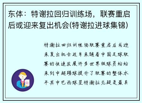 东体：特谢拉回归训练场，联赛重启后或迎来复出机会(特谢拉进球集锦)